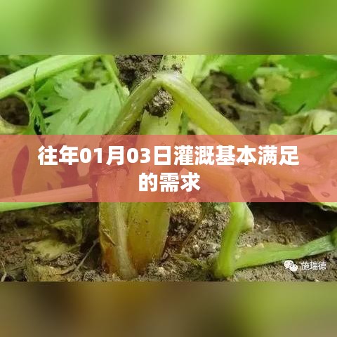 历年灌溉概览，满足需求之根本，符合字数要求，简洁明了，能够清晰地表达文章主题。希望符合您的要求！