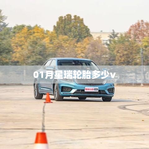 星瑞轮胎价格及规格解析