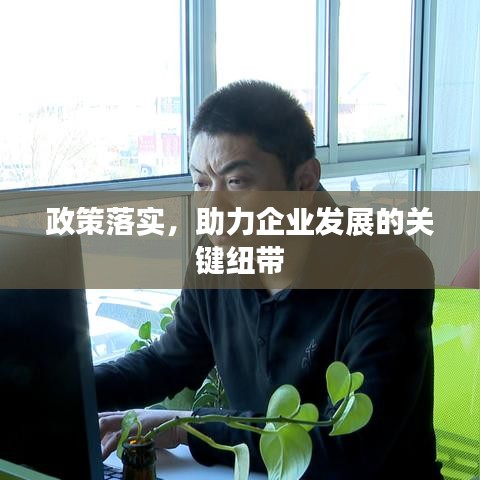 政策落实，助力企业发展的关键纽带