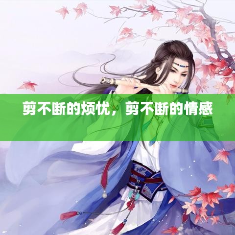 剪不断的烦忧，剪不断的情感 