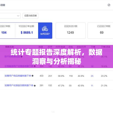 统计专题报告深度解析，数据洞察与分析揭秘