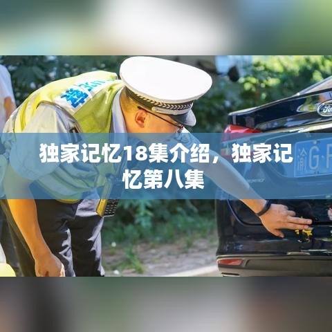 独家记忆18集介绍，独家记忆第八集 