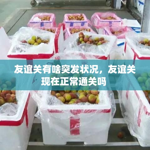 友谊关有啥突发状况，友谊关现在正常通关吗 