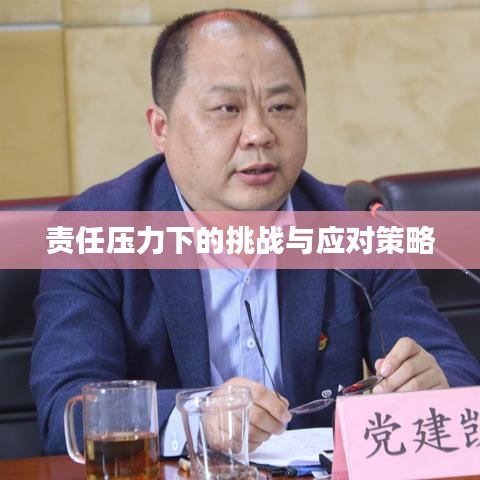 责任压力下的挑战与应对策略