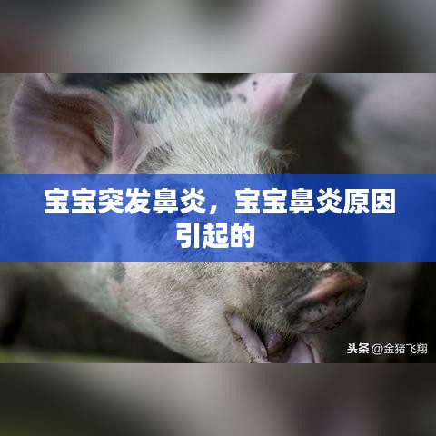 宝宝突发鼻炎，宝宝鼻炎原因引起的 