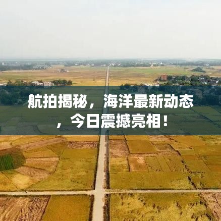 航拍揭秘，海洋最新动态，今日震撼亮相！