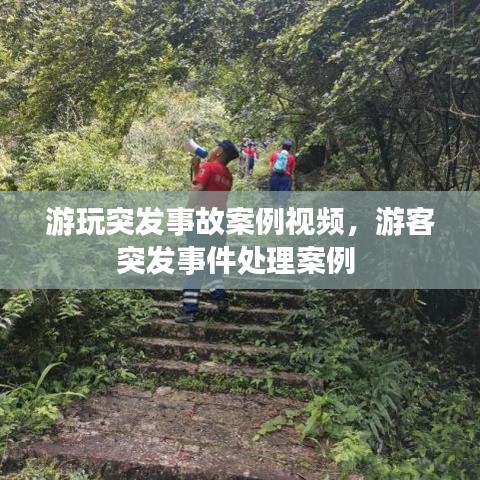 游玩突发事故案例视频，游客突发事件处理案例 