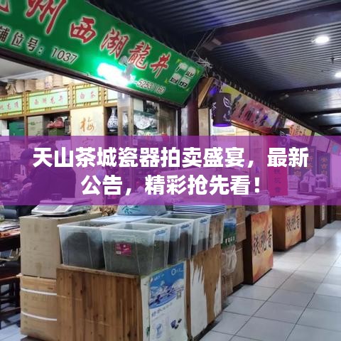 天山茶城瓷器拍卖盛宴，最新公告，精彩抢先看！