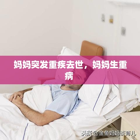 第604页