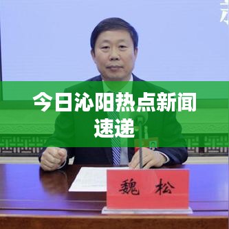 今日沁阳热点新闻速递