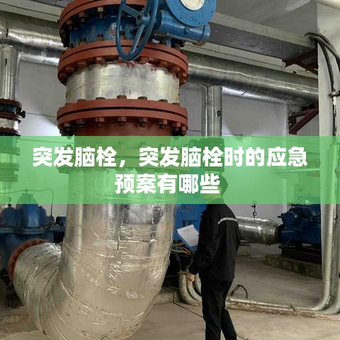 突发脑栓，突发脑栓时的应急预案有哪些 