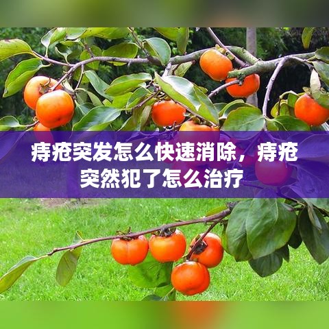 痔疮突发怎么快速消除，痔疮突然犯了怎么治疗 
