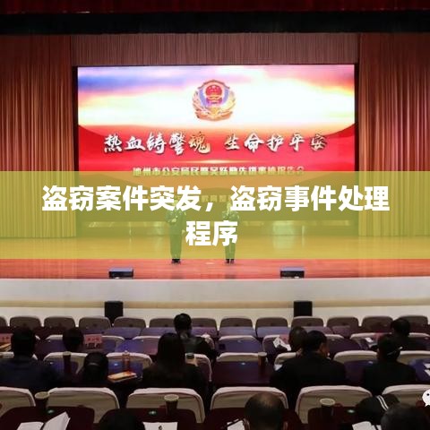 盗窃案件突发，盗窃事件处理程序 