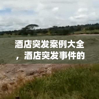酒店突发案例大全，酒店突发事件的处理原则 