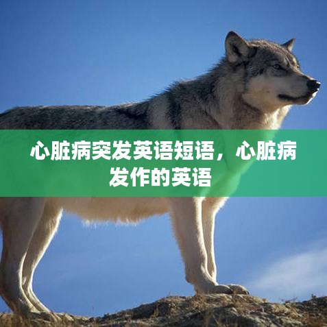 第597页