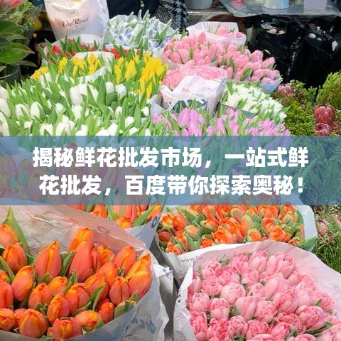 揭秘鲜花批发市场，一站式鲜花批发，百度带你探索奥秘！