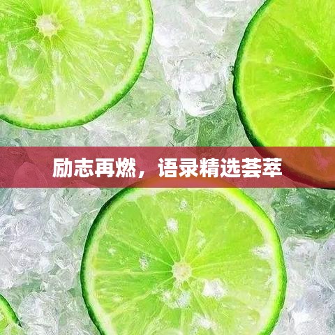 励志再燃，语录精选荟萃