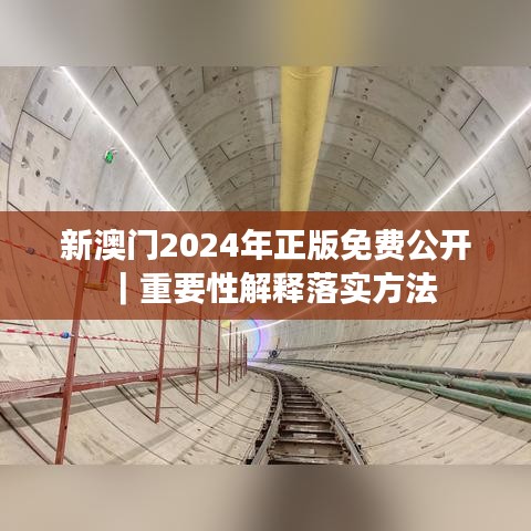 新澳门2024年正版免费公开｜重要性解释落实方法