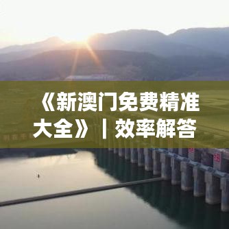 《新澳门免费精准大全》｜效率解答解释落实
