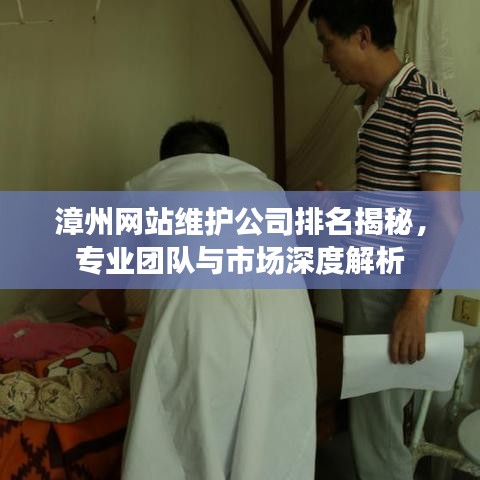 漳州网站维护公司排名揭秘，专业团队与市场深度解析