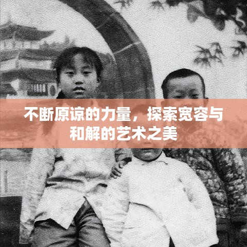 不断原谅的力量，探索宽容与和解的艺术之美