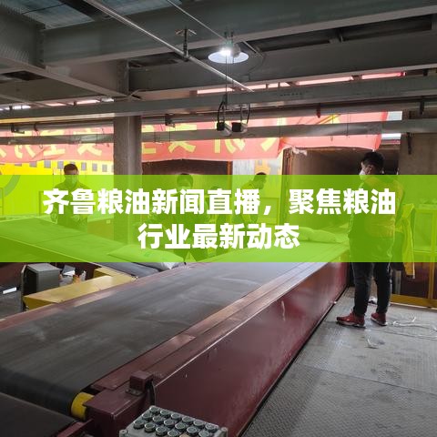 齐鲁粮油新闻直播，聚焦粮油行业最新动态