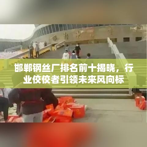 邯郸钢丝厂排名前十揭晓，行业佼佼者引领未来风向标