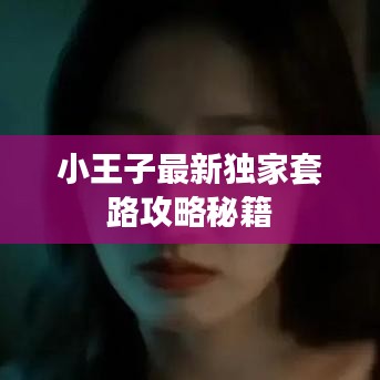 小王子最新独家套路攻略秘籍