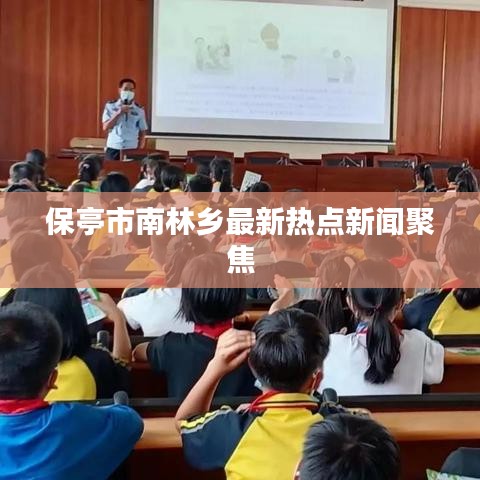 保亭市南林乡最新热点新闻聚焦
