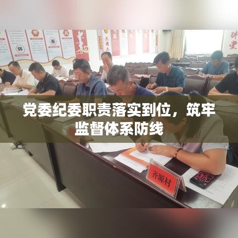 党委纪委职责落实到位，筑牢监督体系防线