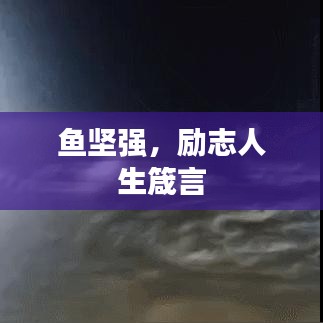 鱼坚强，励志人生箴言