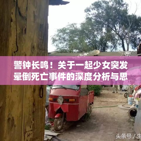 警钟长鸣！关于一起少女突发晕倒死亡事件的深度分析与思考