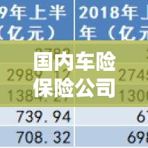 国内车险保险公司排名大揭秘，权威榜单，让你一目了然！