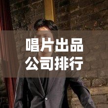 唱片出品公司排行榜，揭秘音乐产业巨头势力榜！