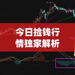 今日捡钱行情独家解析，最新消息一览