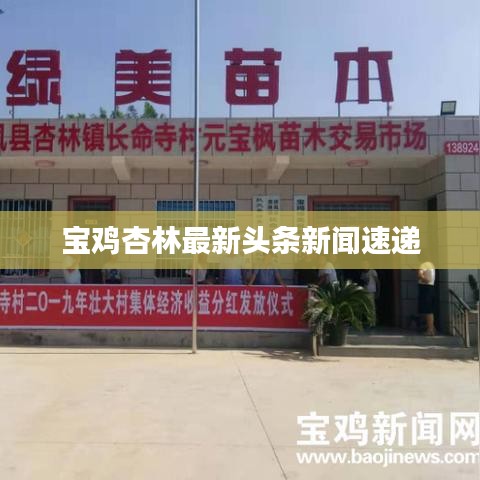 宝鸡杏林最新头条新闻速递