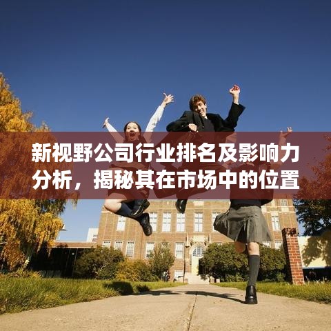 新视野公司行业排名及影响力分析，揭秘其在市场中的位置与实力