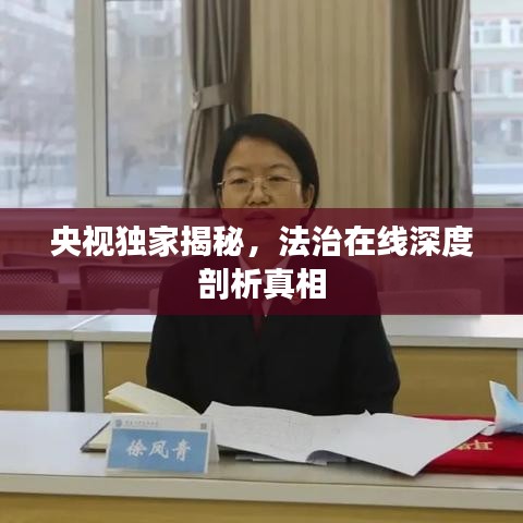 央视独家揭秘，法治在线深度剖析真相