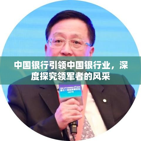 中国银行引领中国银行业，深度探究领军者的风采