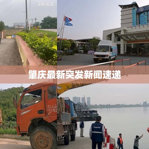 肇庆最新突发新闻速递