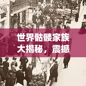 世界骷髅家族大揭秘，震撼排名榜单！