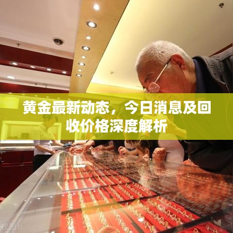 黄金最新动态，今日消息及回收价格深度解析