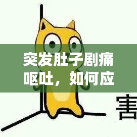 突发肚子剧痛呕吐，如何应对？症状解析帮你快速应对