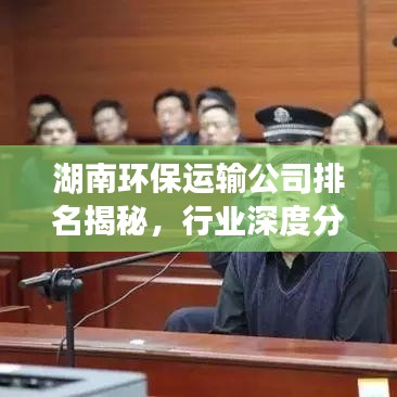 湖南环保运输公司排名揭秘，行业深度分析与评估