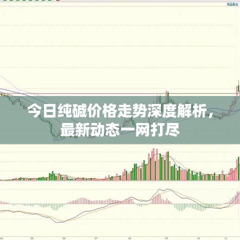 今日纯碱价格走势深度解析，最新动态一网打尽