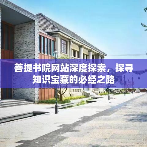 菩提书院网站深度探索，探寻知识宝藏的必经之路