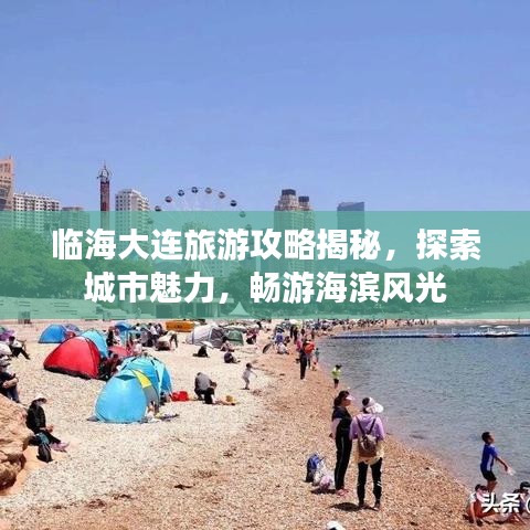 临海大连旅游攻略揭秘，探索城市魅力，畅游海滨风光