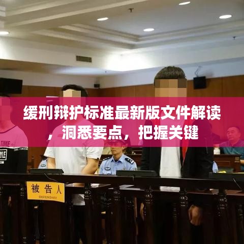 缓刑辩护标准最新版文件解读，洞悉要点，把握关键