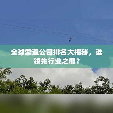 全球索道公司排名大揭秘，谁领先行业之巅？