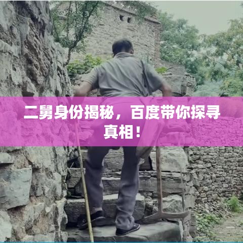 二舅身份揭秘，百度带你探寻真相！